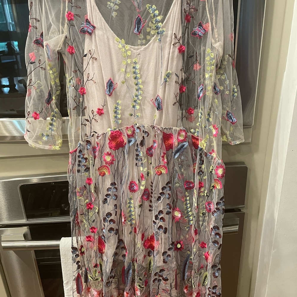 NWOT Free People Sheer Garden embroidered dress
